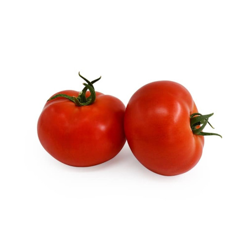 TOPRAK F1 Tomate